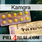 Kamgra new06